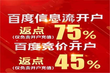 SEM竞价优化技巧：案例解析提升广告投放效果